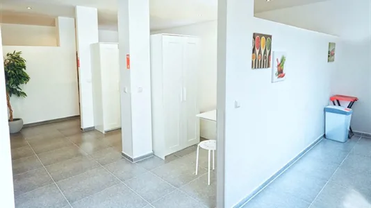 Apartments in Esslingen - photo 3