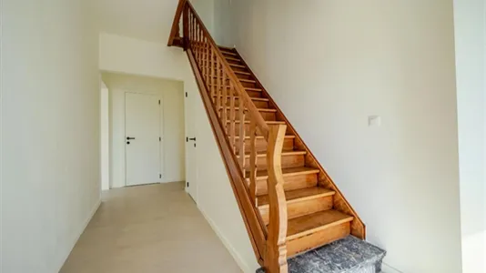 Houses in Dendermonde - photo 8