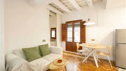 Apartment for rent in Barcelona Ciutat Vella, Barcelona