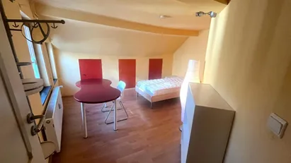 Room for rent in Luik, Luik (region)