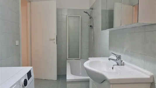 Rooms in Roma Municipio VIII – Appia Antica - photo 8