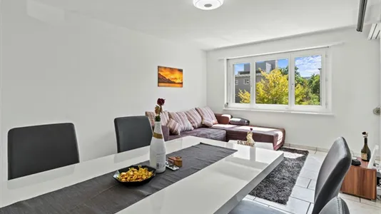 Rooms in Winterthur - photo 6