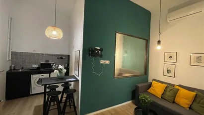 Apartment for rent in Budapest Terézváros, Budapest