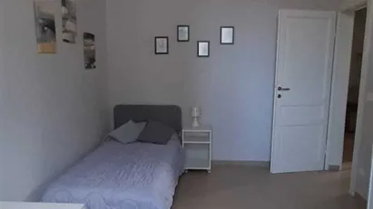 Room for rent in Pisa, Toscana