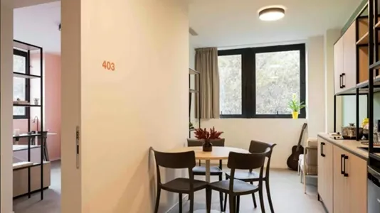 Rooms in Turin - photo 3