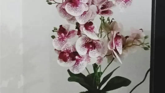 Apartments in Location is not specified - photo 10