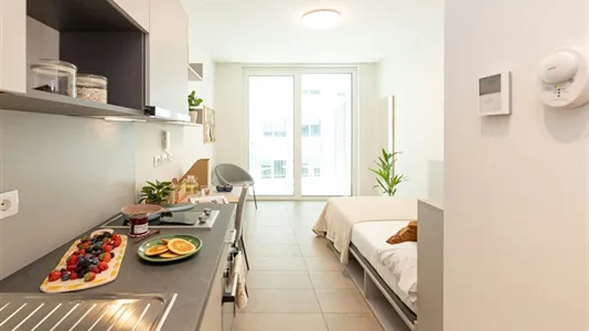 Apartments in Florence - photo 6