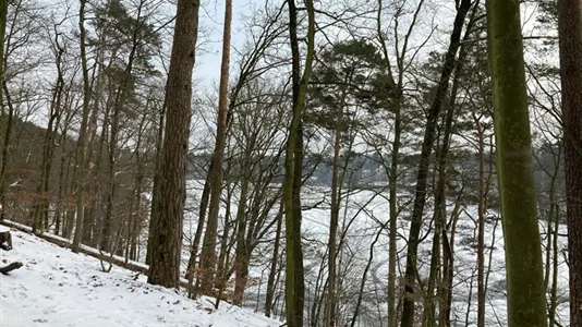 Rooms in Berlin Steglitz-Zehlendorf - photo 2