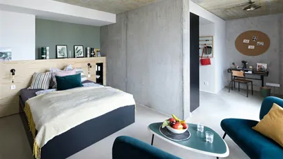 Apartment for rent in Frankfurt (region)
