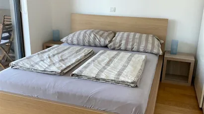 Apartment for rent in Besnica, Osrednjeslovenska