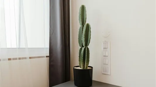 Rooms in Location is not specified - photo 3