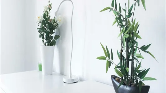 Rooms in Milano Zona 1 - Centro storico - photo 8