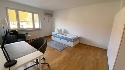 Room for rent in Berlin