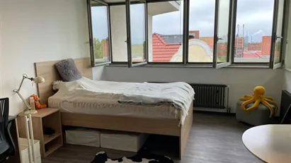 Apartment for rent in Berlin Steglitz-Zehlendorf, Berlin Apartment for rent in Berlin Steglitz-Zehlendorf, Berlin