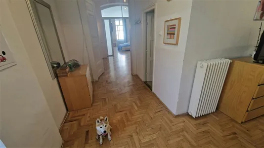 Apartments in Budapest Belváros-Lipótváros - photo 8