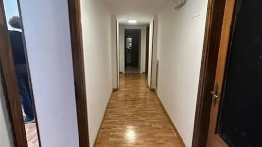 Rooms in Roma Municipio VII – Appio-Latino/Tuscolano/Cinecittà - photo 3