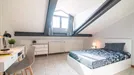 Room for rent, Padua, Veneto, &lt;span class=&quot;blurred street&quot; onclick=&quot;ProcessAdRequest(7736880)&quot;&gt;&lt;span class=&quot;hint&quot;&gt;See streetname&lt;/span&gt;[xxxxxxxxxxxxx]&lt;/span&gt;