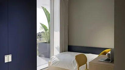 Room for rent in Florence, Toscana