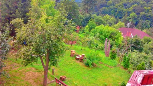 Houses in Miskolci - photo 7