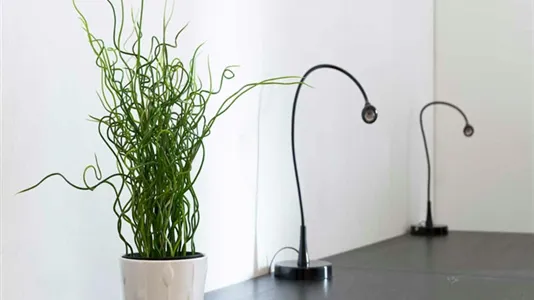 Rooms in Milano Zona 6 - Barona, Lorenteggio - photo 9