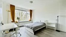 Apartment for rent, Rotterdam Prins Alexander, Rotterdam, Jacob van Akenstraat, The Netherlands