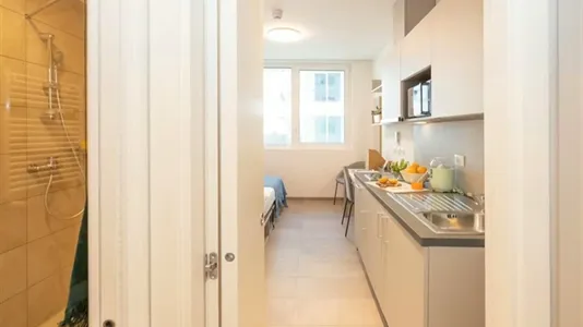 Apartments in Florence - photo 3