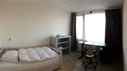 Room for rent in Rotterdam