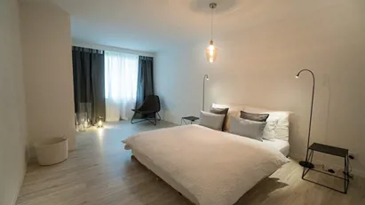 Apartment for rent in Zürich District 1 - Altstadt, Zürich