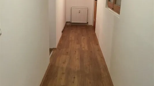 Rooms in Hoče-Slivnica - photo 7