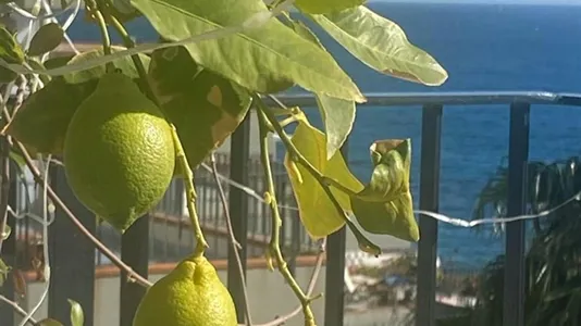 Apartments in Letojanni - photo 4