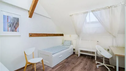 Room for rent in Prague