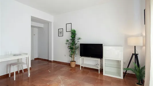 Apartments in Sevilla Casco Antiguo - photo 4