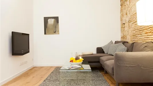 Apartments in Barcelona Ciutat Vella - photo 4