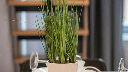 Apartments in Budapest Erzsébetváros - photo 8