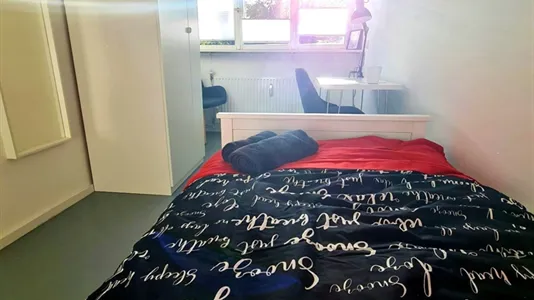 Rooms in Bonn - photo 5