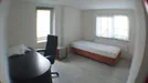 Room for rent, Krimpenerwaard, South Holland, Noord, The Netherlands