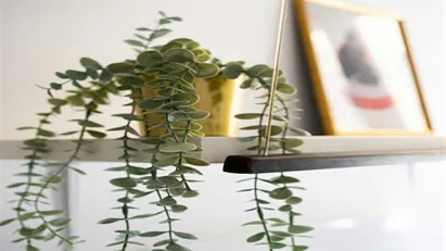 Room for rent in Madrid Centro, Madrid