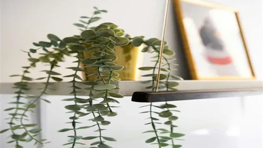 Rooms in Madrid Centro - photo 1