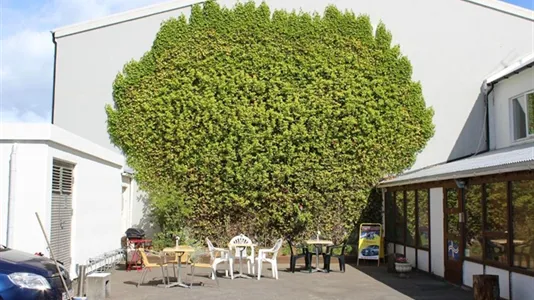 Rooms in Reykjavík Hlíðar - photo 7