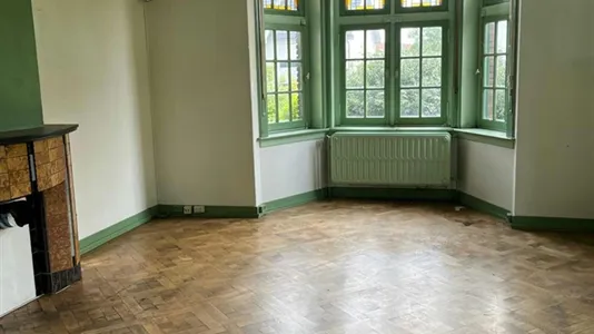 Houses in Hulst - photo 5