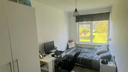 Room for rent in Rotterdam