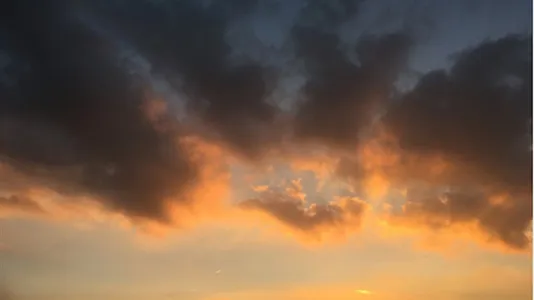 Apartments in Stad Antwerp - photo 5