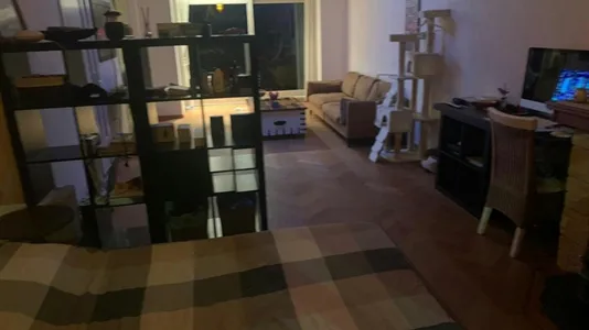 Houses in Hillegom - photo 6