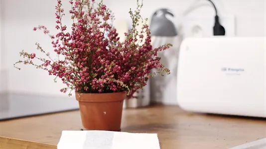 Rooms in Barcelona Sants-Montjuïc - photo 8