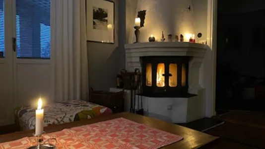 Houses in Stockholm West - photo 3