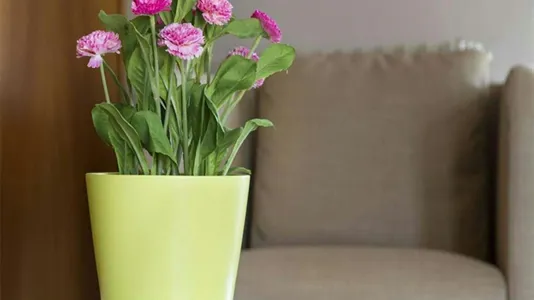 Rooms in Milano Zona 9 - Porta Garibaldi, Niguarda - photo 6