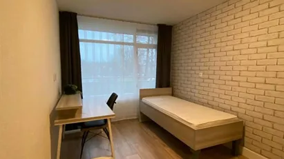 Room for rent in Capelle aan den IJssel, South Holland Room for rent in Capelle aan den IJssel, South Holland