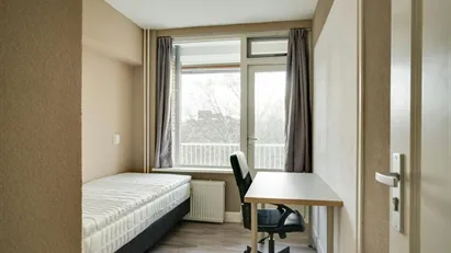 Room for rent in Rotterdam