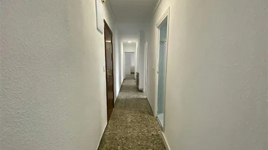 Rooms in Adaro - photo 10