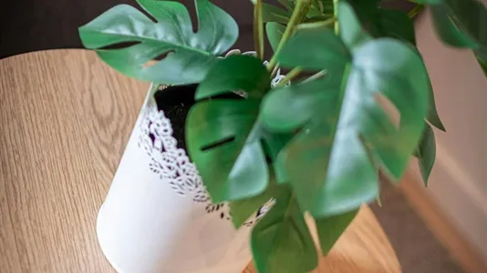 Apartments in Budapest Erzsébetváros - photo 10